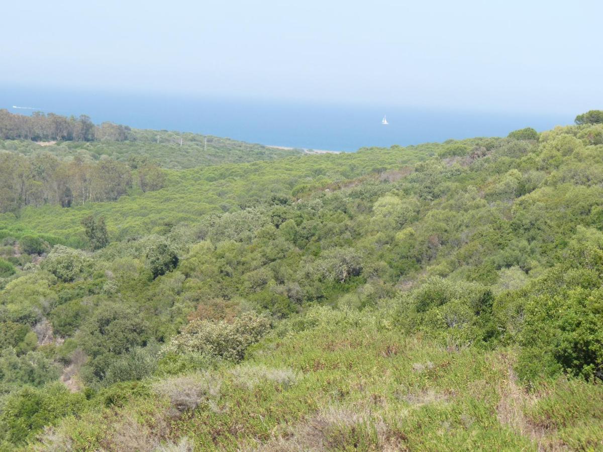 Terrazas De Alcaidesa 2361公寓 外观 照片